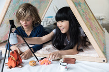 Load image into Gallery viewer, ICONIC Camp Fire
