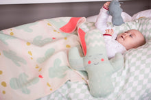 Load image into Gallery viewer, David Fussenegger Cactus Juwel Bassinet Blanket