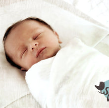 Load image into Gallery viewer, EcoSprout Bassinet Sheet Set