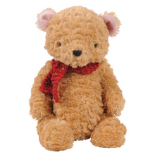Load image into Gallery viewer, Classic Teddy Bear by Tiger Tribe