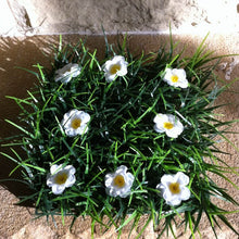 Load image into Gallery viewer, Lil Fairy Grass Mat