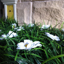 Load image into Gallery viewer, Lil Fairy Grass Mat