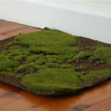 Load image into Gallery viewer, Lil Fairy Mossy Mat